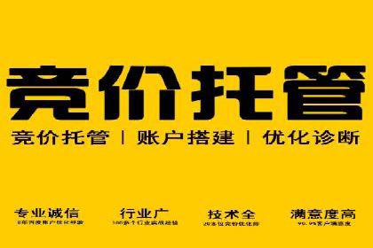包年竞价操作指南：实战案例助您快速上手